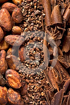 Cacao 