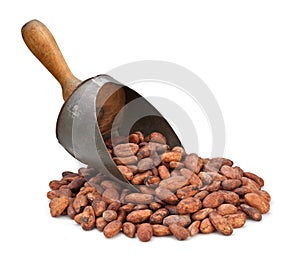 Cacao frijoles cucharón 