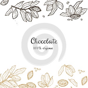 Cocoa bean sketch collection - organic chocolate design for culinary art