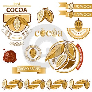 Cocoa beans