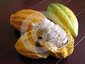 Cocoa beans