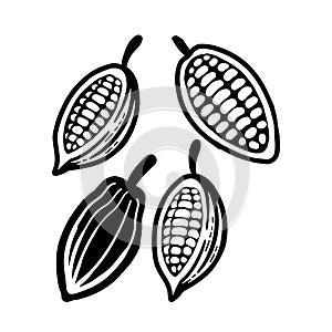 Cocoa beans black symbol. Isolated on white