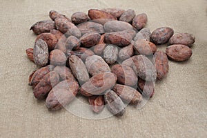 Cocoa beans. Cacao beans on a burlap background.