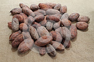 Cocoa beans. Cacao beans on a burlap background.