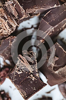 Cocoa beans with chocolate on a white background. Shalllow dof. photo