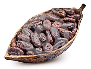 Cocoa beans with cocoa pod isolated on white background