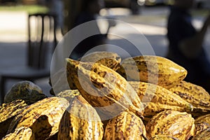 Cocoa beans and cocoa pod on a wooden surface