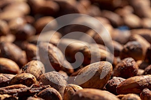 Cocoa beans and cocoa pod on a wooden surface