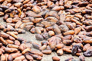 Cocoa beans drying under the sunlight