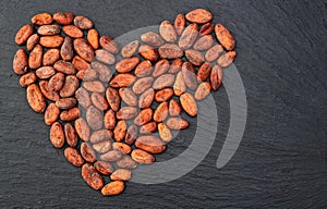 Cocoa beans grain texture . Ingredient for preparating chocolate photo