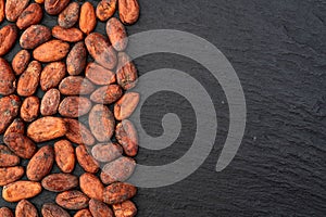 Cocoa beans grain texture . Ingredient for preparating chocolate photo