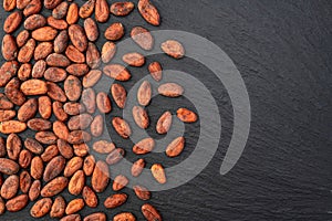 Cocoa beans grain texture . Ingredient for preparating chocolate photo