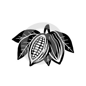 Cocoa beans icon. Isolated on a white background.