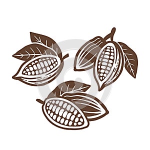 Cocoa beans icon. Set of vector drawings.