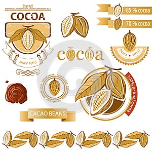 Cocoa beans photo