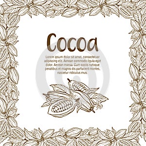 Cacao fagioli illustrazioni. cioccolato cacao fagioli 