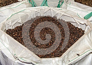 Cocoa beans inside Maison Cailler Chocolate Factory Broc-Gruyere, Switzerland