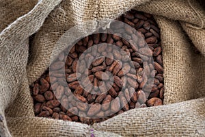 Cocoa beans in a jute bag
