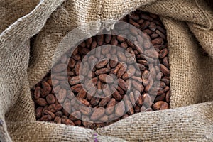 Cocoa beans in a jute bag photo