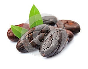Cocoa beans with leaves. photo