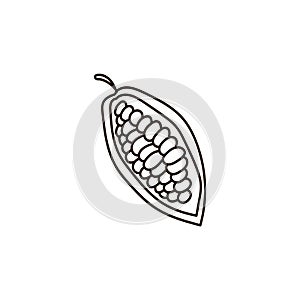 Cocoa beans. Cocoa pod, fruit and grains isolated on a white background. Packaging design, logo, coloring pages. Hand