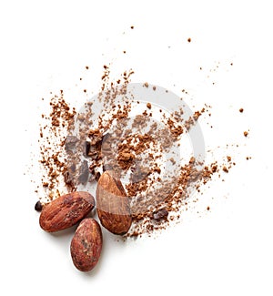 Cocoa beans and powder isolated on white background