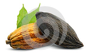 Cocoa or Cacao pod isolated on white background