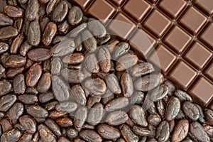 Kakao a čokoláda 