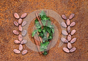 Cocoa flat lay  concept with raw cocoa beans , leaf of mint and twig of cinnamon as  ingredien for recipe  on iron  background