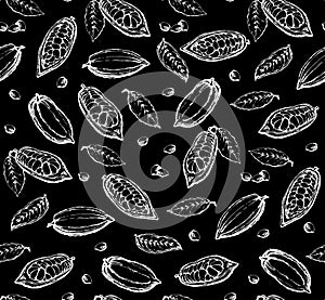 Cocoa Fruits. Vector drawing