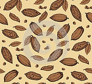 Cocoa Fruits. Vector drawing