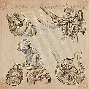 Cacao cosecha a Procesando. agricultura. pintado a mano ilustraciones sobre el antiguo 