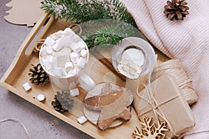 Cocoa, hot chocolate with marshmallows and cinnamon, spruce branch, cookies, cones, gingerbread man, candle, snowflakes, gift, box