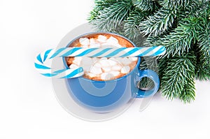 Cocoa or hot chocolate with marshmallows on white background. Winter hot drink.