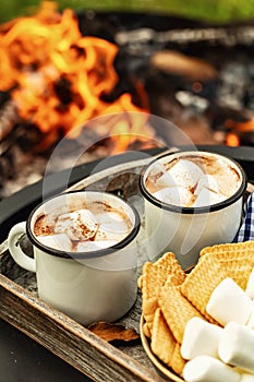 Cocoa or hot chocolate and skewers of roasted marshmallows over campfire