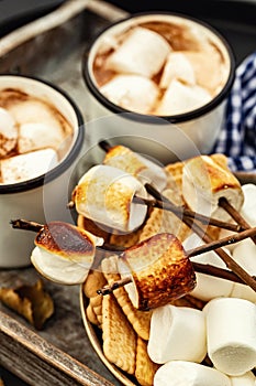 Cocoa or hot chocolate and skewers of roasted marshmallows over campfire