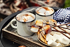 Cocoa or hot chocolate and skewers of roasted marshmallows over campfire