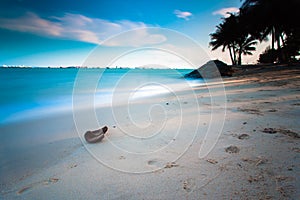 Cocoa Husk and Sea Beach: East Coast of Singapore