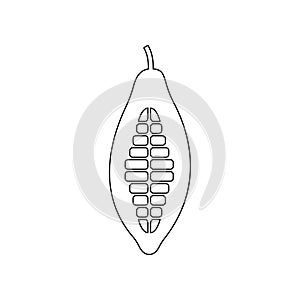 cocoa icon. Element of nuts for mobile concept and web apps icon. Outline, thin line icon for website design and development, app
