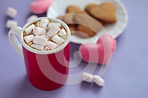 Cocoa with marshmallows and gingerbread cookies