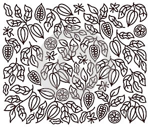 Cocoa ornament. Chocolate pack design background. Beans and branches leaves. Editable outline stroke. Vector line.