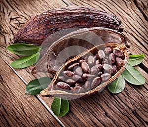 Cocoa pod