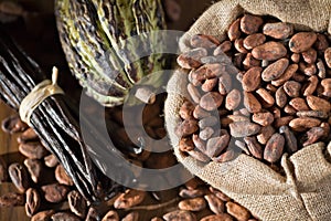 Cacao vainas a frijoles 