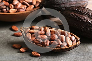 Cocoa pod of beans on grey