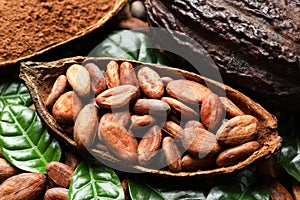 Cocoa pod with beans and leaves