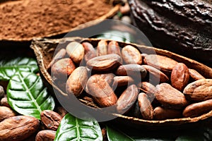 Cocoa pod with beans and leaves,