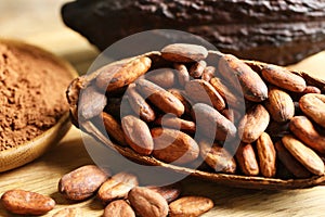 Cocoa pod of beans and powder on table