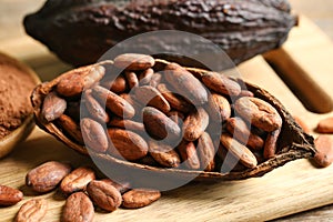 Cocoa pod of beans and powder on table