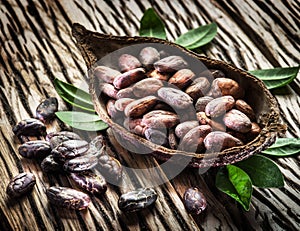 Cocoa pod and cocao beans. photo