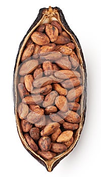 Cocoa pod isolated on white background